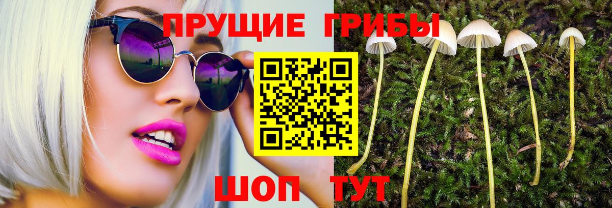 Галлюциногенные грибы ЛСД Минусинск
