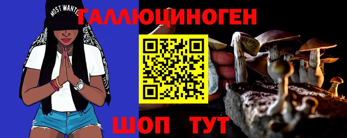 Псилоцибиновые грибы GOLDEN TEACHER  Псилоцибиновые грибы мухоморы  Вход с VPN  хочу наркоту  Минусинск 